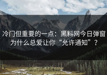 冷门但重要的一点：黑料网今日弹窗为什么总爱让你“允许通知”？