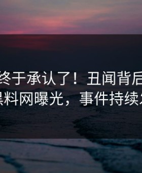 神秘人终于承认了！丑闻背后的故事在黑料网曝光，事件持续发酵