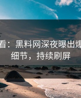 限时查看：黑料网深夜曝出爆料震撼细节，持续刷屏