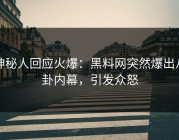 神秘人回应火爆：黑料网突然爆出八卦内幕，引发众怒