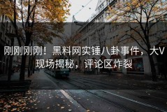 刚刚刚刚！黑料网实锤八卦事件，大V现场揭秘，评论区炸裂