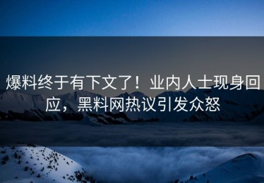 爆料终于有下文了！业内人士现身回应，黑料网热议引发众怒
