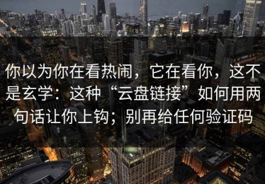 你以为你在看热闹，它在看你，这不是玄学：这种“云盘链接”如何用两句话让你上钩；别再给任何验证码