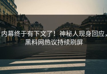 内幕终于有下文了！神秘人现身回应，黑料网热议持续刷屏