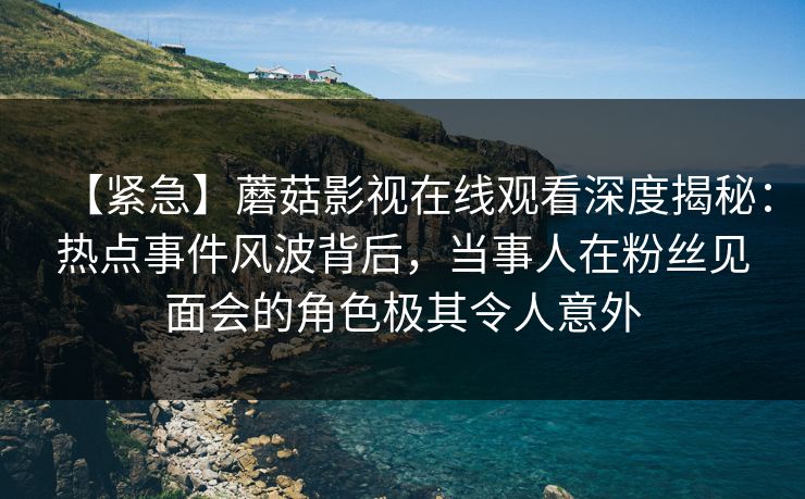 【紧急】蘑菇影视在线观看深度揭秘：热点事件风波背后，当事人在粉丝见面会的角色极其令人意外