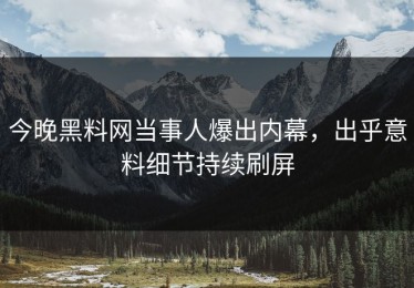 今晚黑料网当事人爆出内幕，出乎意料细节持续刷屏