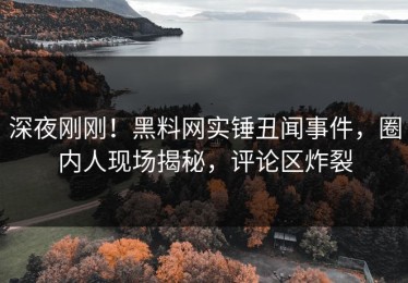 深夜刚刚！黑料网实锤丑闻事件，圈内人现场揭秘，评论区炸裂
