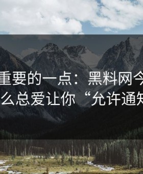 冷门但重要的一点：黑料网今日弹窗为什么总爱让你“允许通知”？