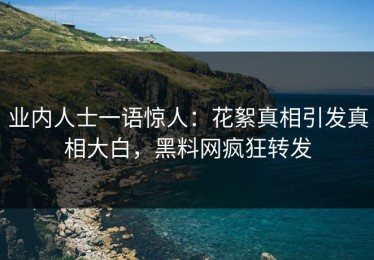 业内人士一语惊人：花絮真相引发真相大白，黑料网疯狂转发