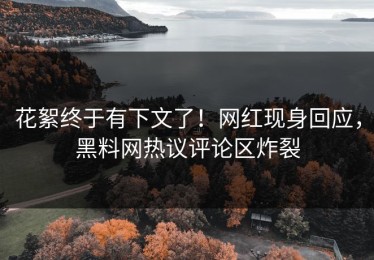 花絮终于有下文了！网红现身回应，黑料网热议评论区炸裂