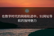 在数字时代的网络轨迹中，91网址导航的独特魅力