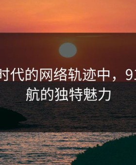 在数字时代的网络轨迹中，91网址导航的独特魅力