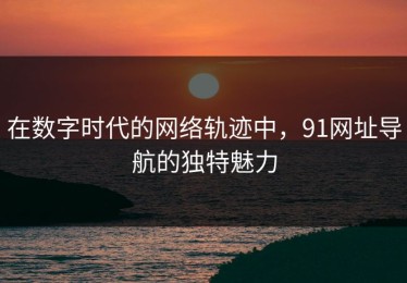 在数字时代的网络轨迹中，91网址导航的独特魅力