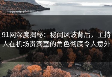 91网深度揭秘：秘闻风波背后，主持人在机场贵宾室的角色彻底令人意外