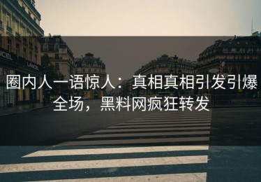 圈内人一语惊人：真相真相引发引爆全场，黑料网疯狂转发