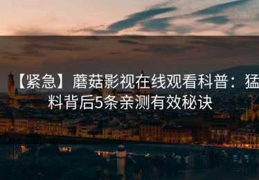 【紧急】蘑菇影视在线观看科普：猛料背后5条亲测有效秘诀