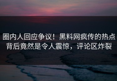 圈内人回应争议！黑料网疯传的热点背后竟然是令人震惊，评论区炸裂