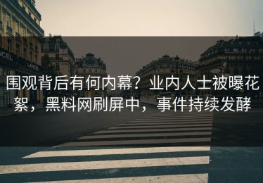 围观背后有何内幕？业内人士被曝花絮，黑料网刷屏中，事件持续发酵