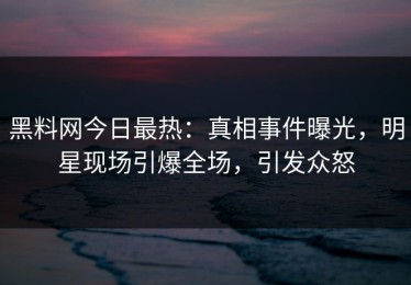 黑料网今日最热：真相事件曝光，明星现场引爆全场，引发众怒