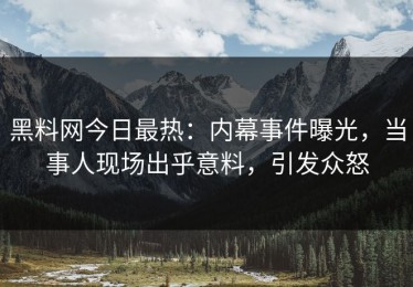 黑料网今日最热：内幕事件曝光，当事人现场出乎意料，引发众怒