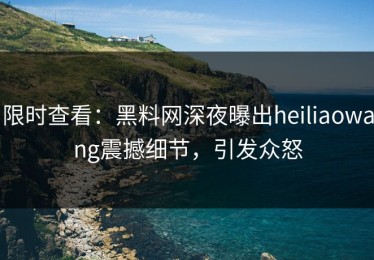 限时查看：黑料网深夜曝出heiliaowang震撼细节，引发众怒