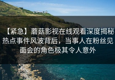 【紧急】蘑菇影视在线观看深度揭秘：热点事件风波背后，当事人在粉丝见面会的角色极其令人意外