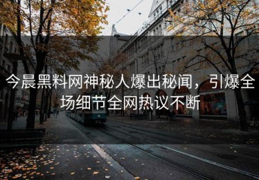 今晨黑料网神秘人爆出秘闻，引爆全场细节全网热议不断