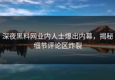 深夜黑料网业内人士爆出内幕，揭秘细节评论区炸裂