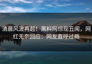 清晨风波再起！黑料网惊现丑闻，网红无奈回应：网友直呼过瘾
