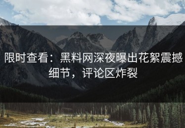 限时查看：黑料网深夜曝出花絮震撼细节，评论区炸裂