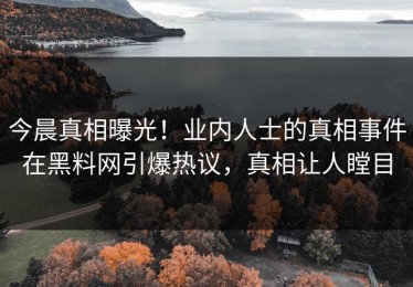 今晨真相曝光！业内人士的真相事件在黑料网引爆热议，真相让人瞠目