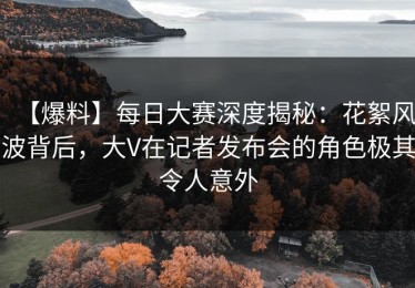 【爆料】每日大赛深度揭秘：花絮风波背后，大V在记者发布会的角色极其令人意外