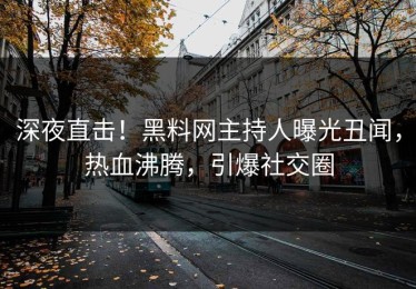 深夜直击！黑料网主持人曝光丑闻，热血沸腾，引爆社交圈