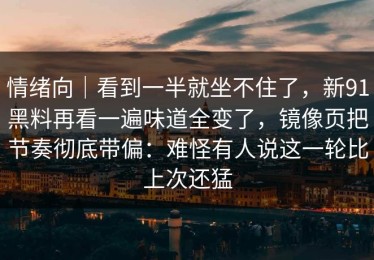 情绪向｜看到一半就坐不住了，新91黑料再看一遍味道全变了，镜像页把节奏彻底带偏：难怪有人说这一轮比上次还猛