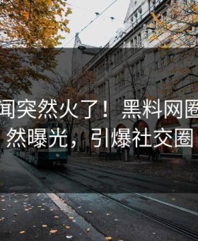 刚刚秘闻突然火了！黑料网圈内人居然曝光，引爆社交圈