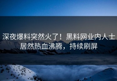 深夜爆料突然火了！黑料网业内人士居然热血沸腾，持续刷屏