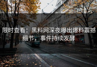 限时查看：黑料网深夜曝出爆料震撼细节，事件持续发酵