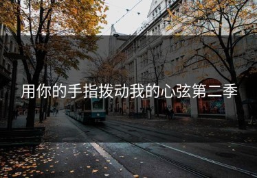 用你的手指拨动我的心弦第二季