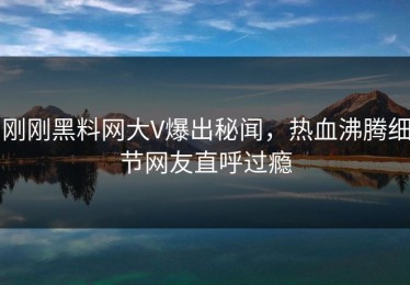 刚刚黑料网大V爆出秘闻，热血沸腾细节网友直呼过瘾