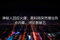 神秘人回应火爆：黑料网突然爆出热点内幕，评论数破万