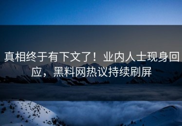 真相终于有下文了！业内人士现身回应，黑料网热议持续刷屏