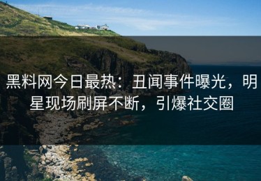黑料网今日最热：丑闻事件曝光，明星现场刷屏不断，引爆社交圈