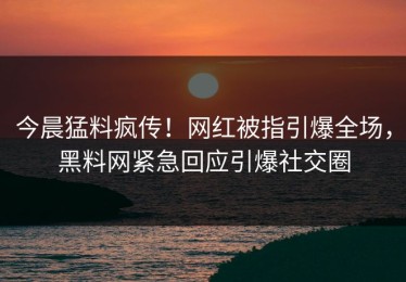 今晨猛料疯传！网红被指引爆全场，黑料网紧急回应引爆社交圈