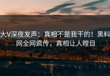 大V深夜发声：真相不是我干的！黑料网全网疯传，真相让人瞠目