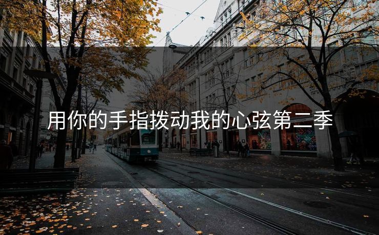 用你的手指拨动我的心弦第二季