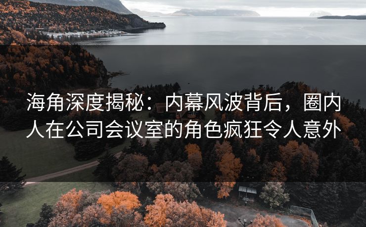 海角深度揭秘：内幕风波背后，圈内人在公司会议室的角色疯狂令人意外